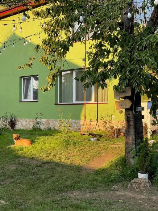 Casa Din Povesti In Mijlocul Naturii! Arad Eksteriør billede